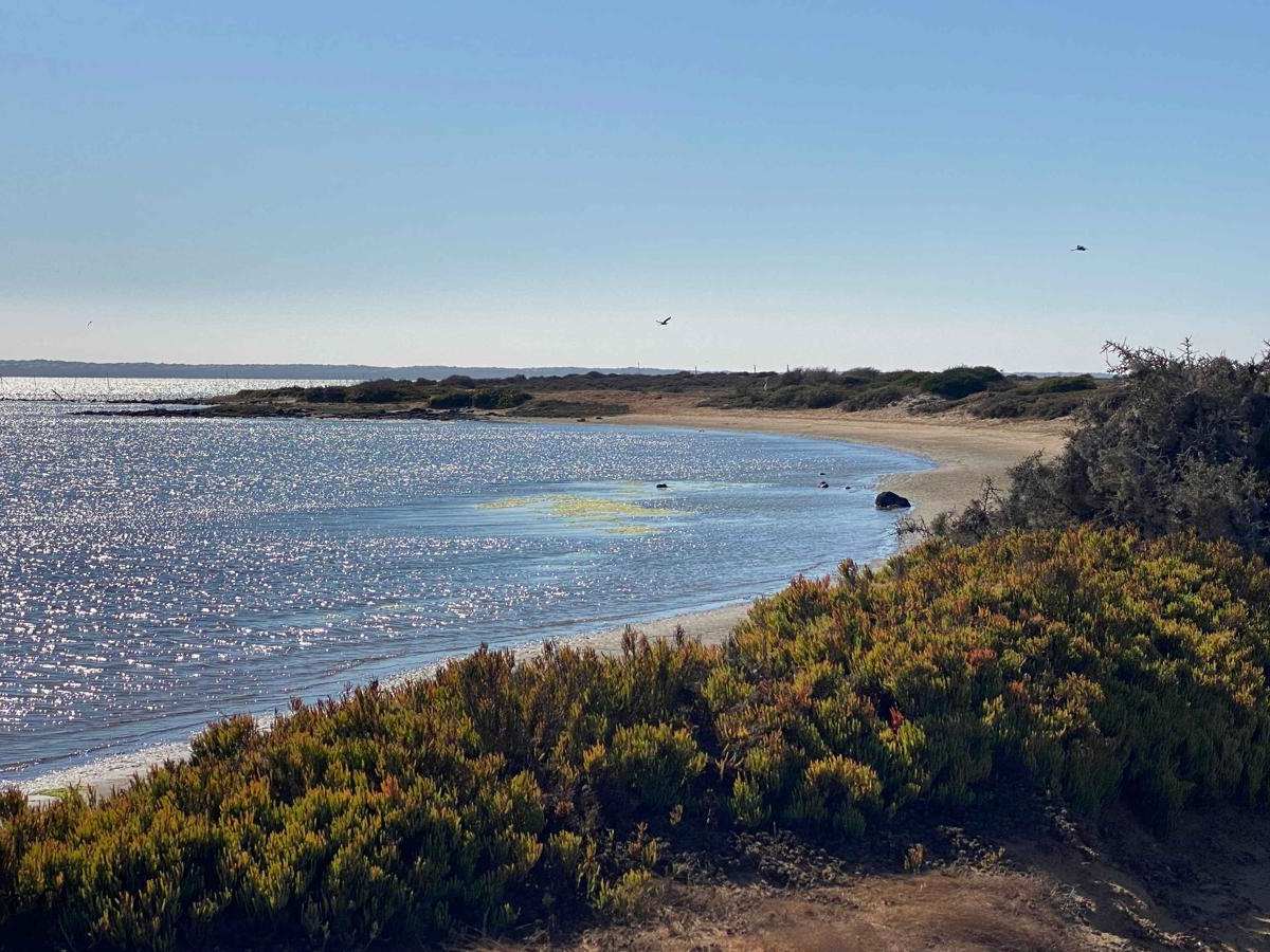 Monte Ceniza Nature Reserve trail photo