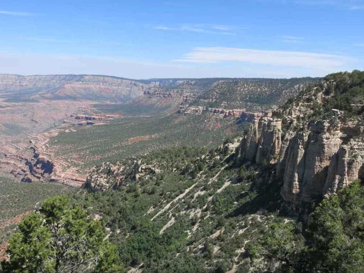 Fire Point - FR223 trail photo