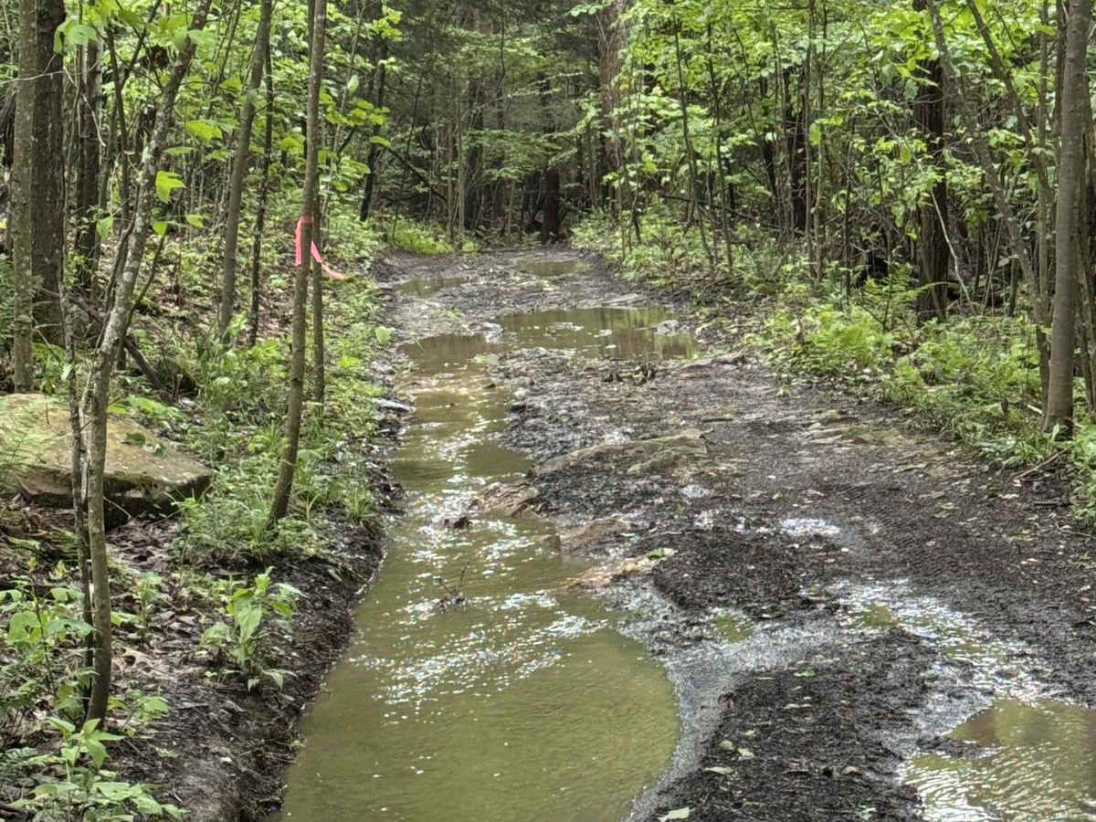 1102 Blue photo 6