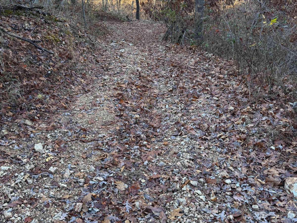 Yellow 146 photo 2