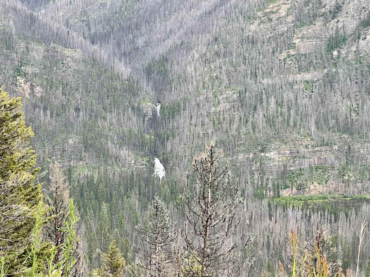 Morrell Clearwater photo 3