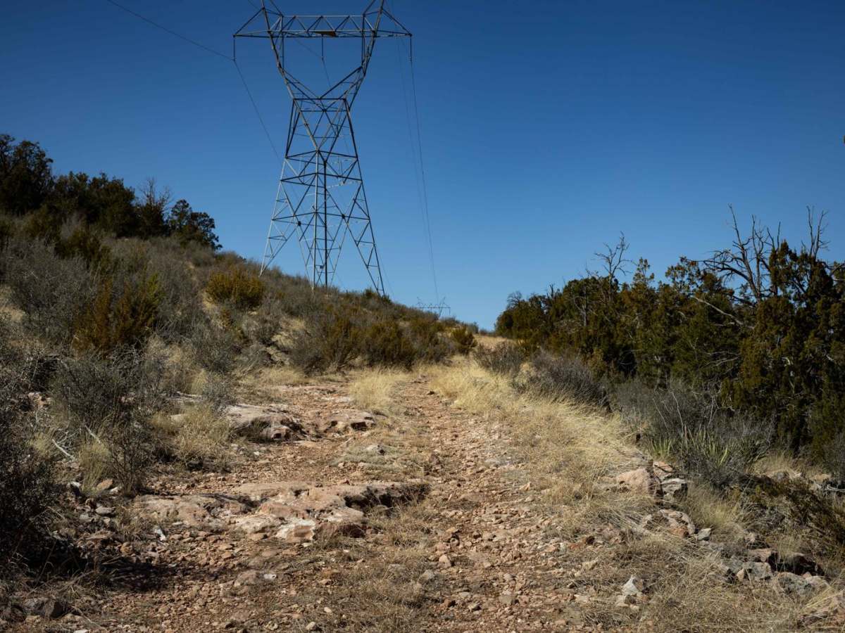 Powerline West photo 5