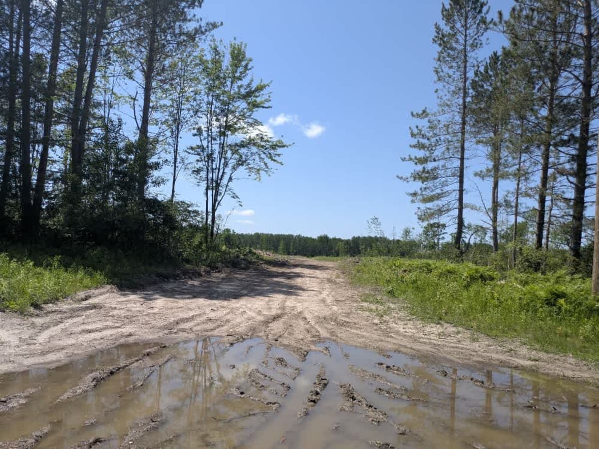 Country Road 158 photo 6