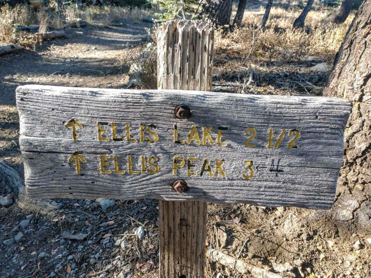 Ellis Peak Bike Trail photo 5