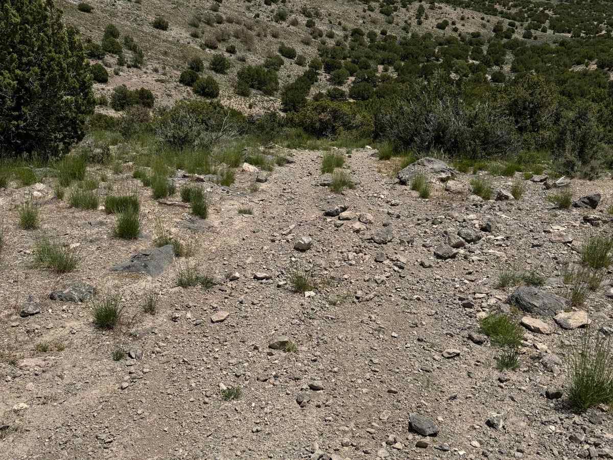 Davis Mountain Pass photo 6
