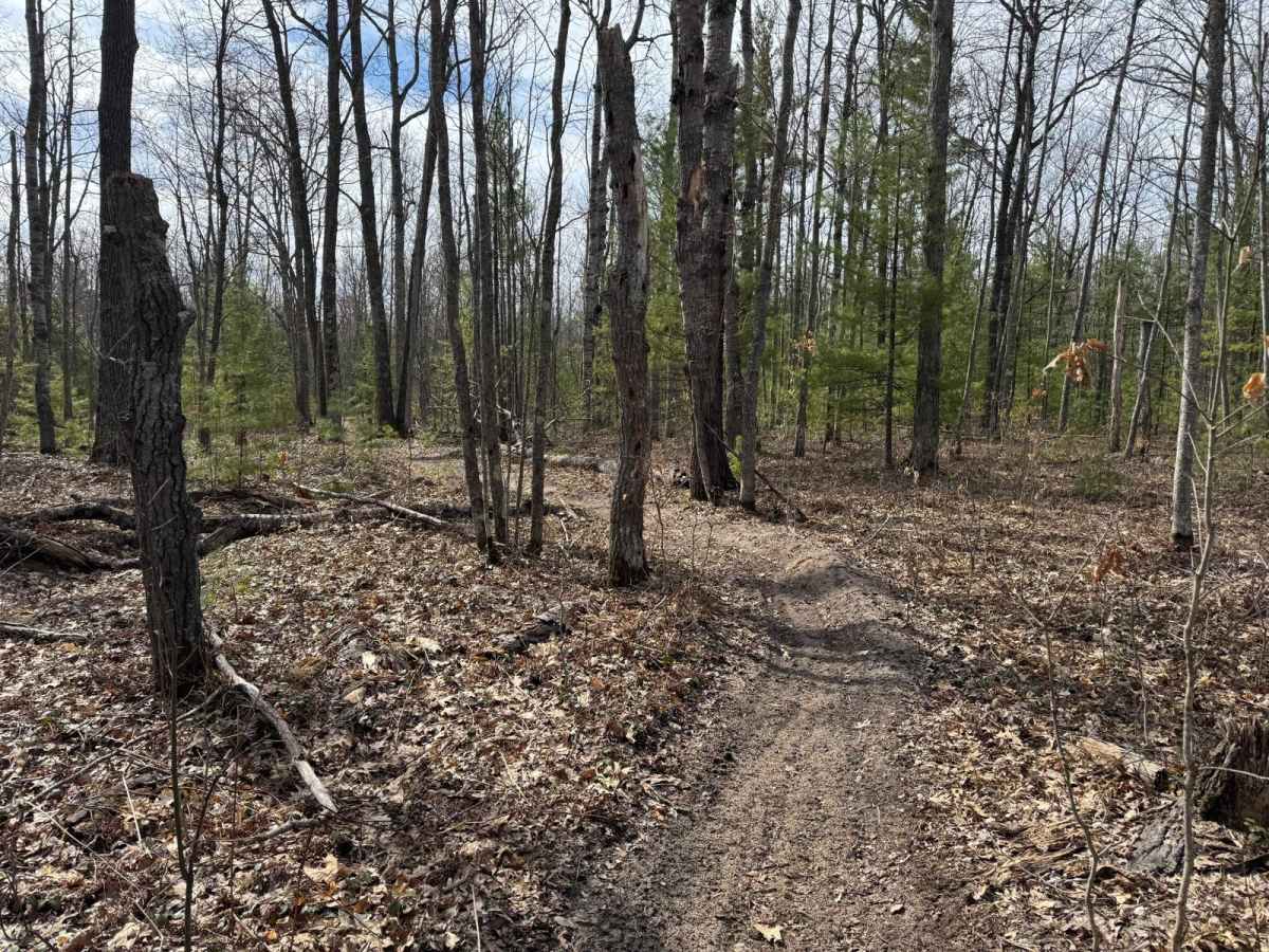 Grand Traverse North Spur photo 4