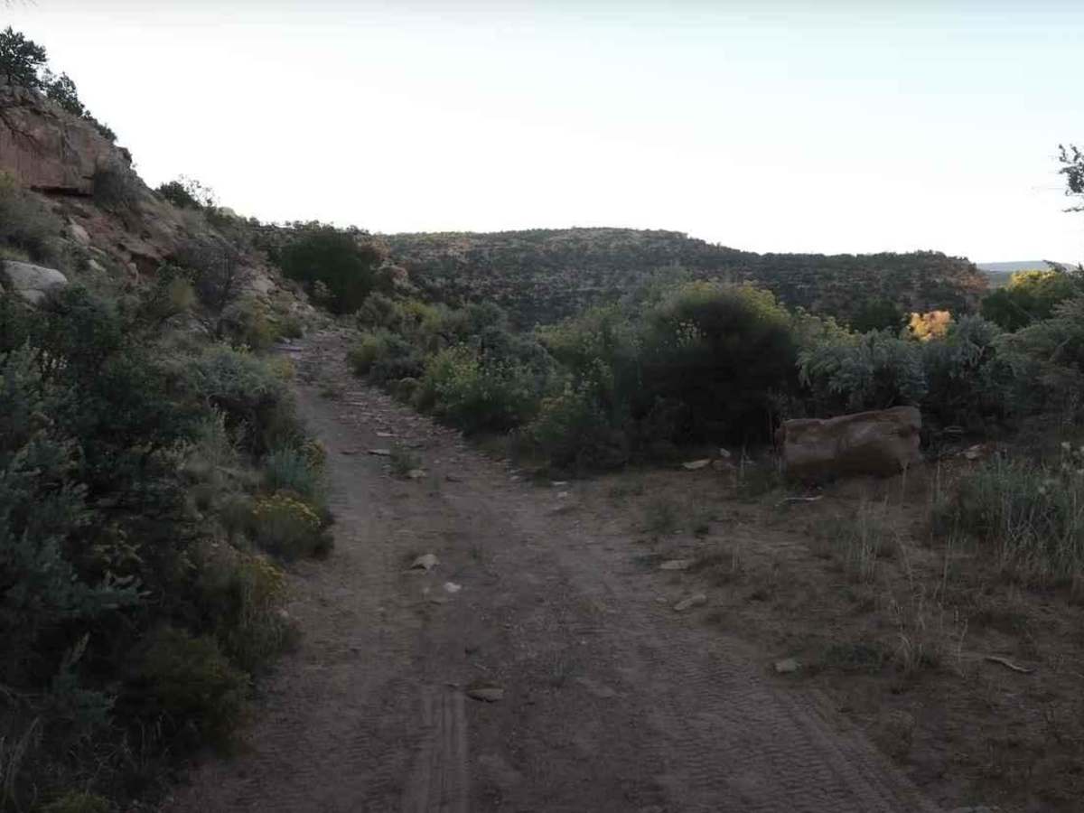 BLM D0148 - Ruin Canyon photo 5