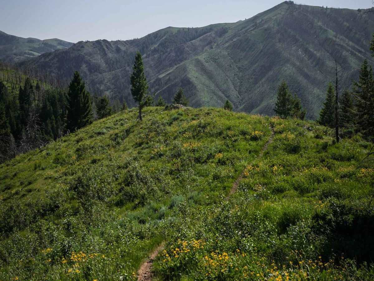 Panther Gulch  - Imperial Connect photo 3