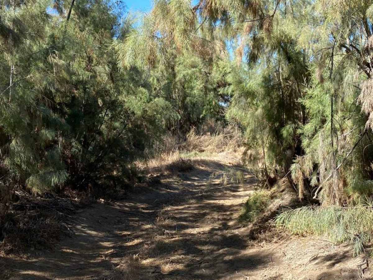Mision Santa Maria Crossover trail photo
