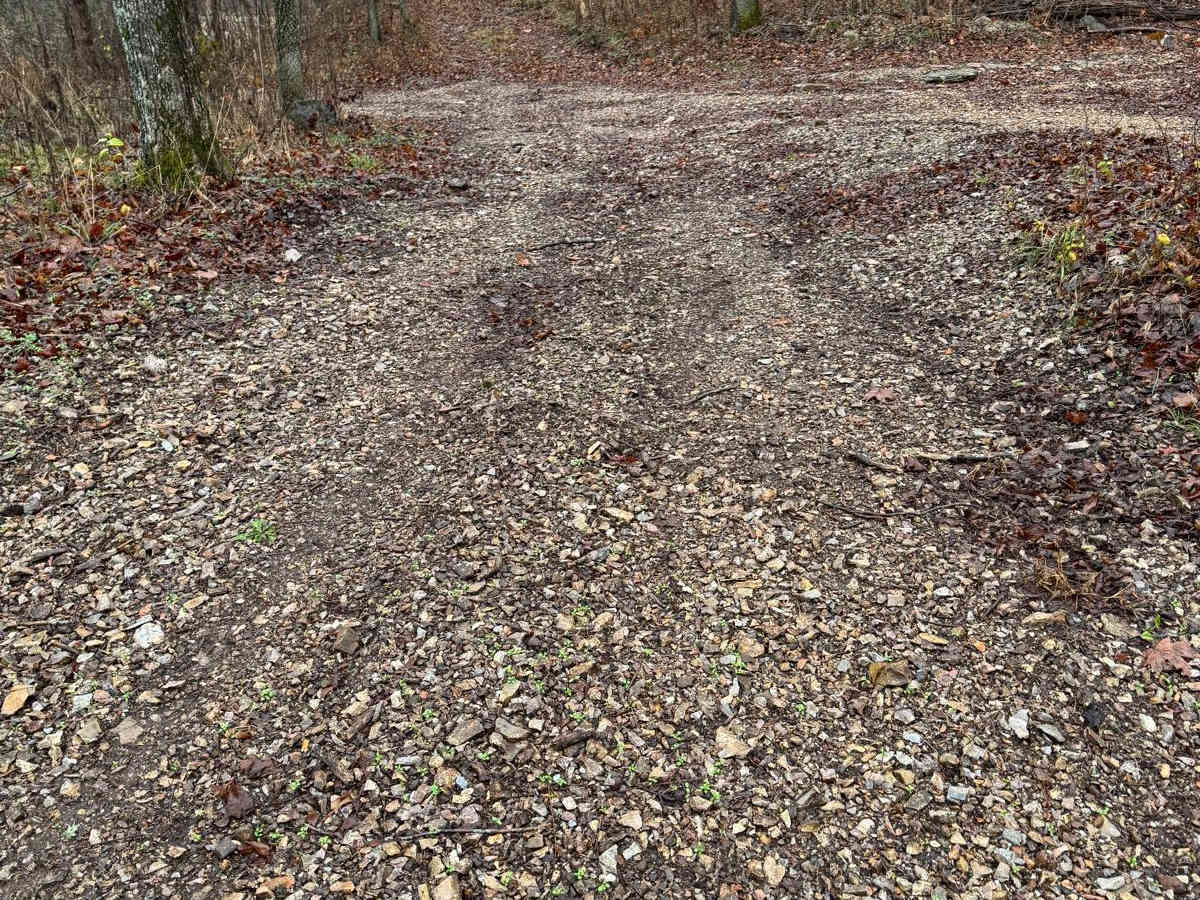Green 299 trail photo