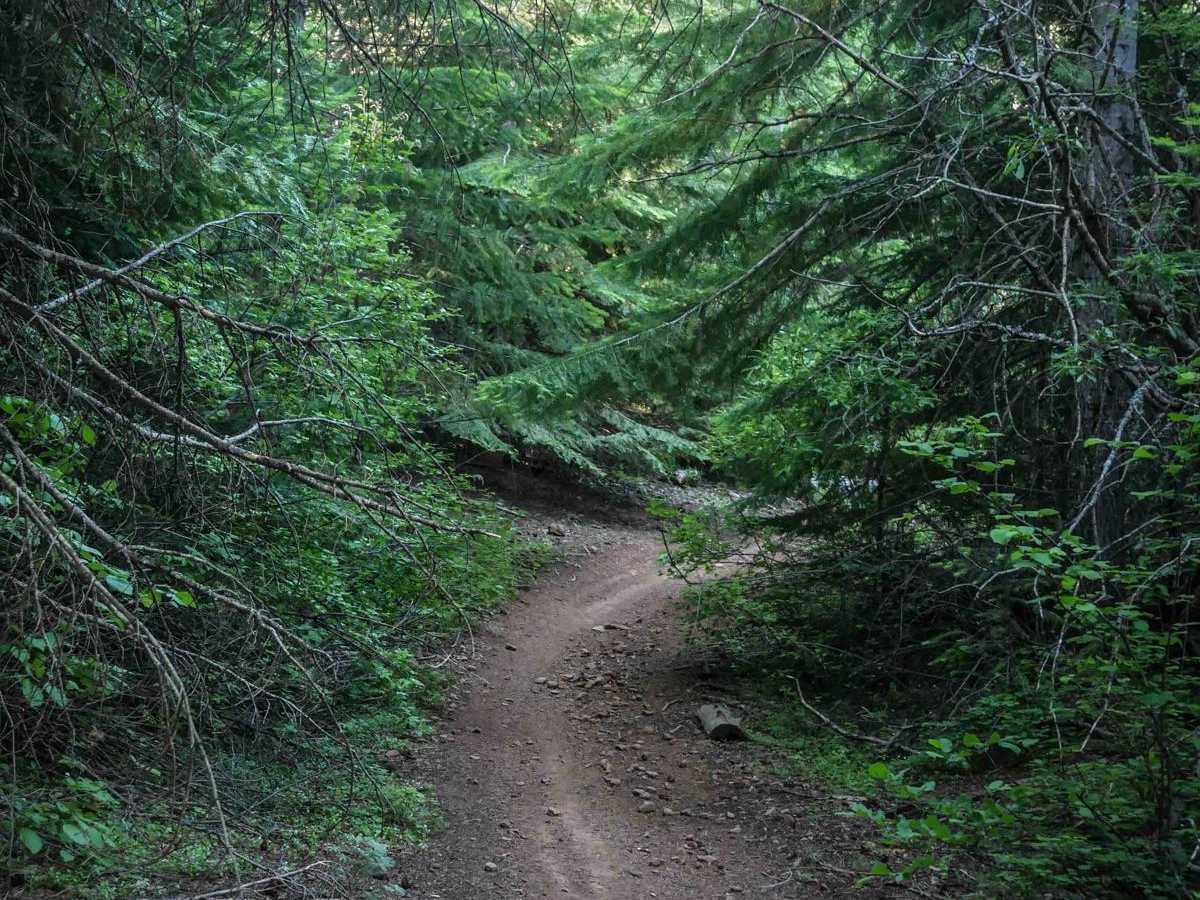 576D trail photo