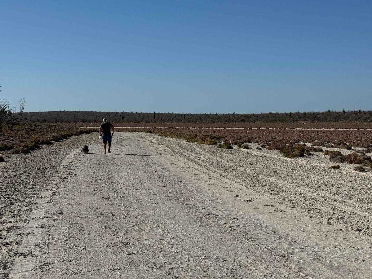 Salt Flats photo 6