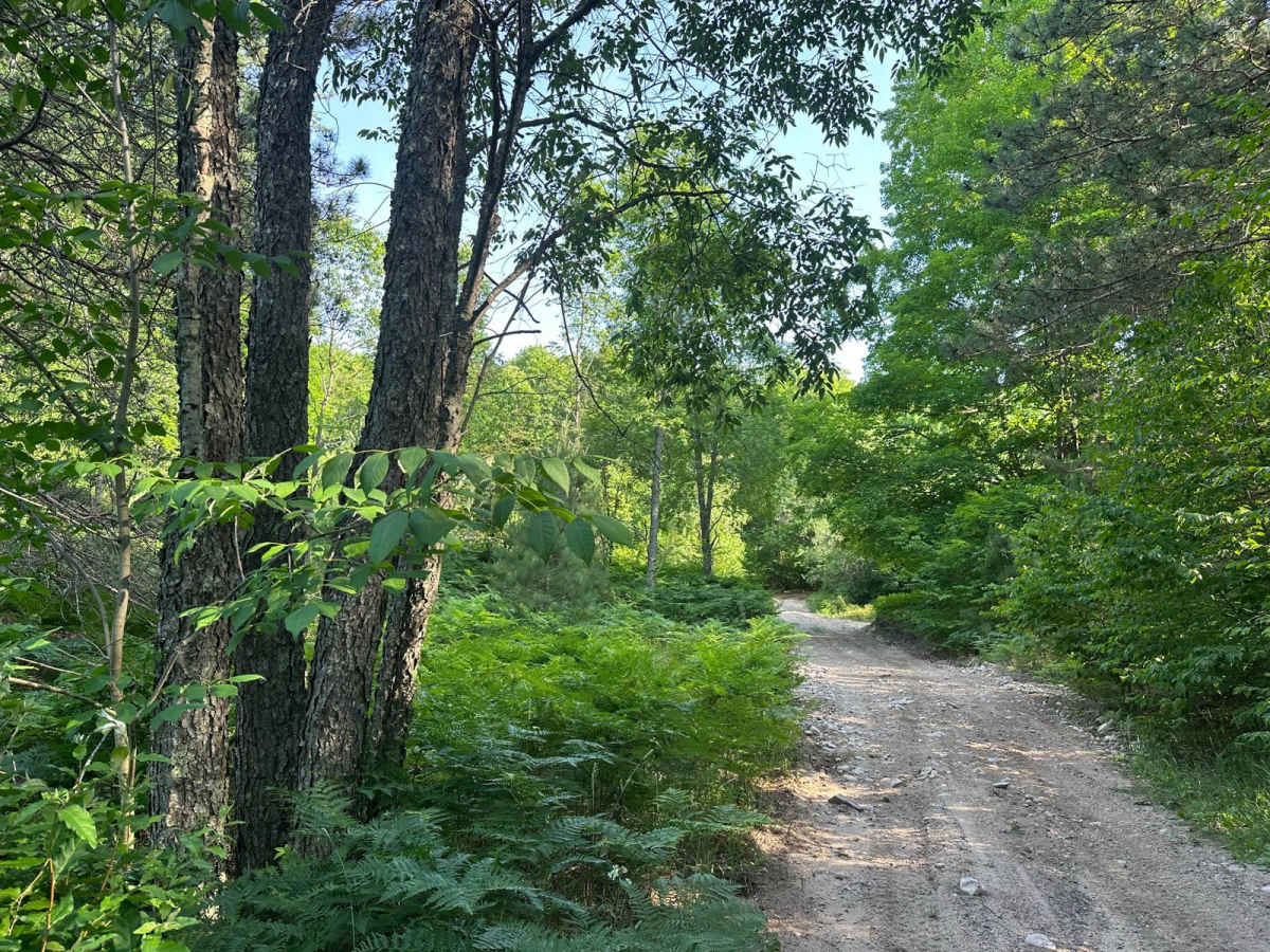 Fortine Road photo 4