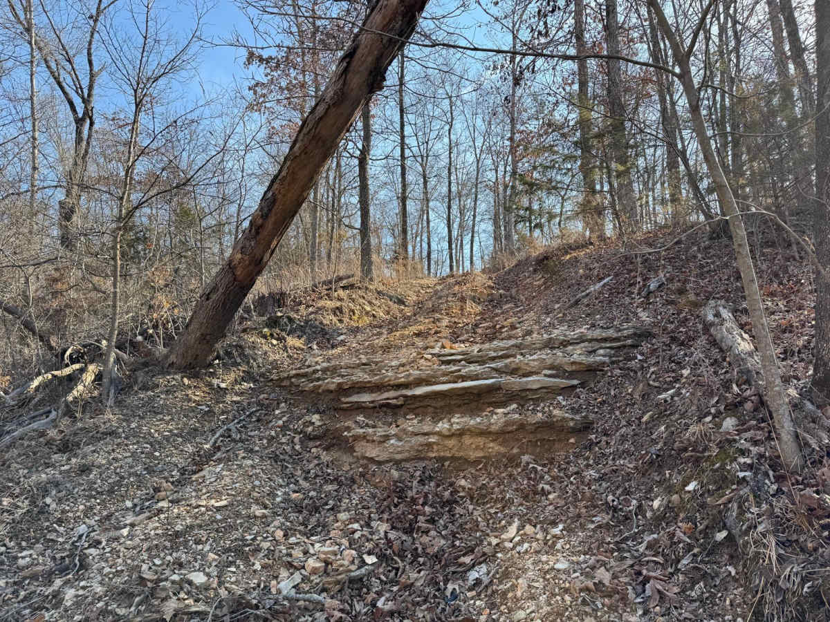 Red 415 photo 3