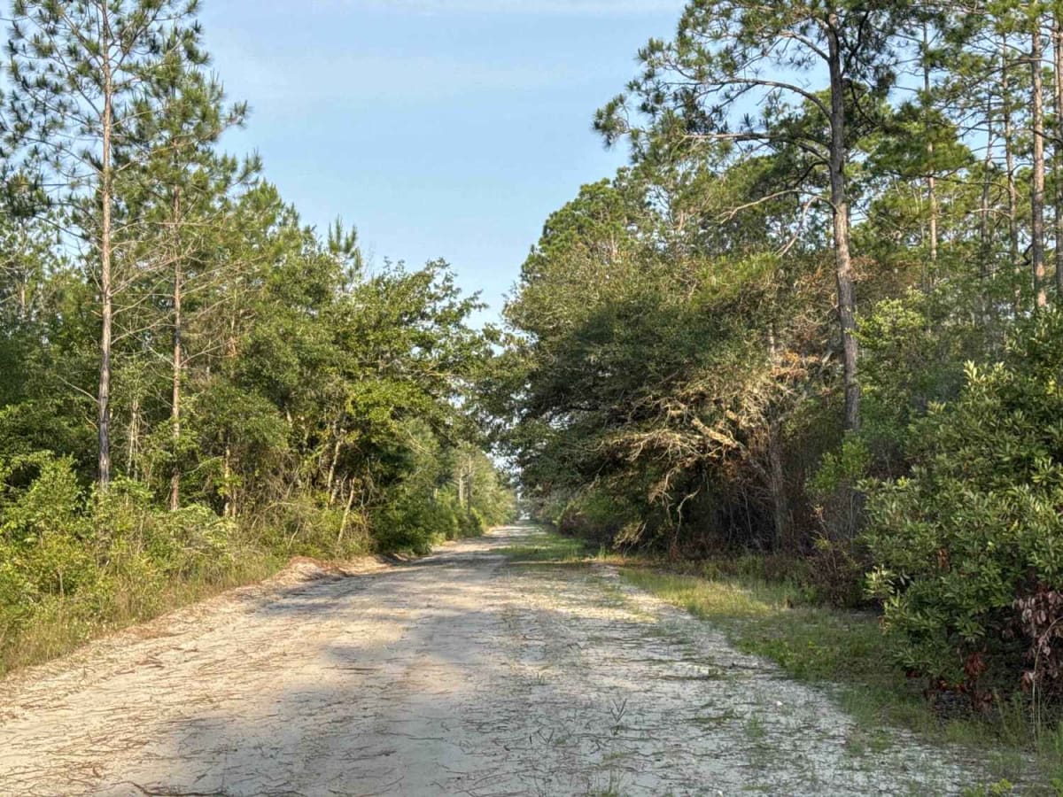 Boundary Road photo 3