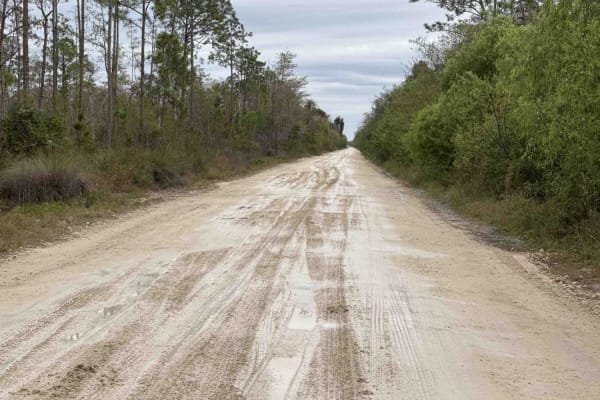 West Sabal Palm Road