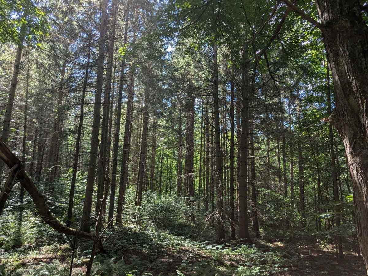 Southeast Corners Road photo 6