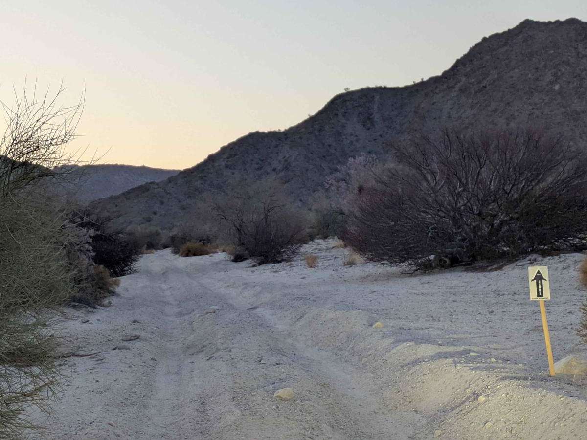 Subida Ocotillo trail photo