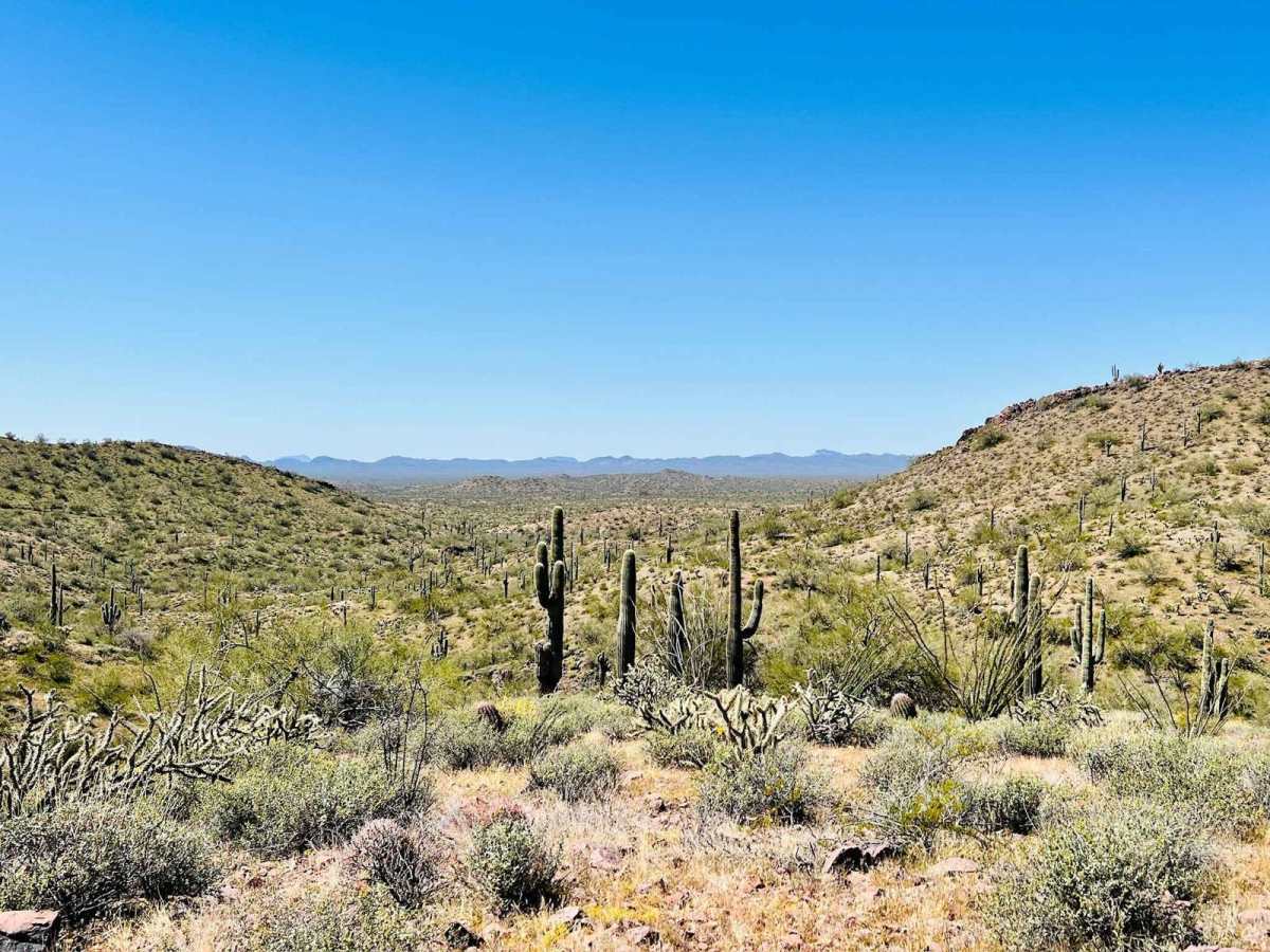9056 B Rock Circle trail photo