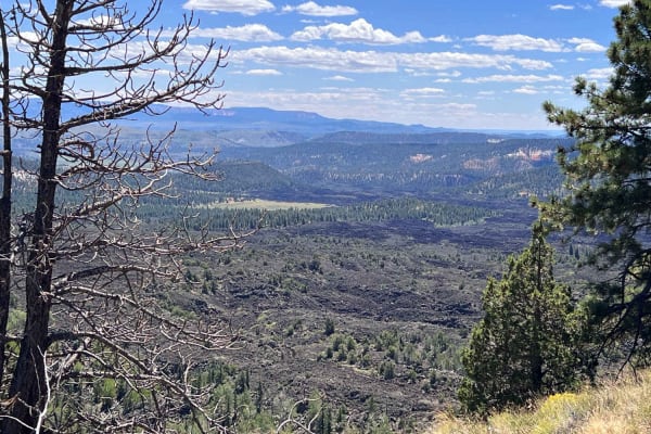 Birch Spring Pass Creek - BLM32000.3