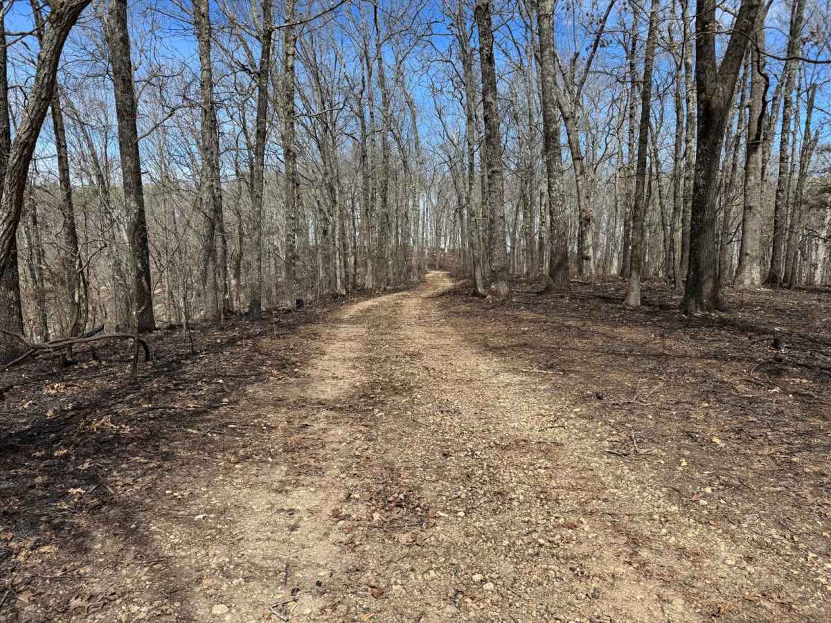 McAdoo Spur A - FSR 150 trail photo
