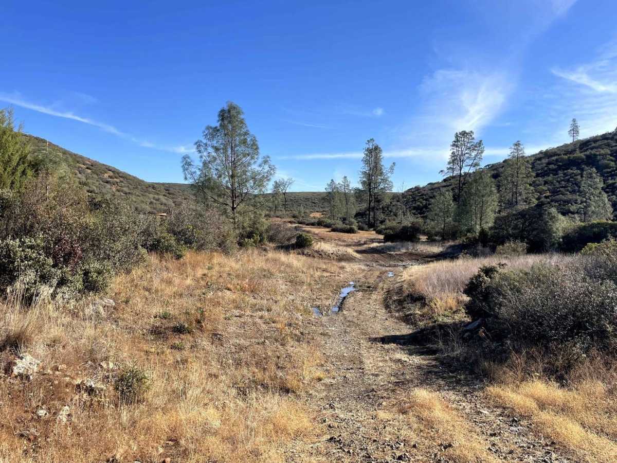 Cement Creek photo 6