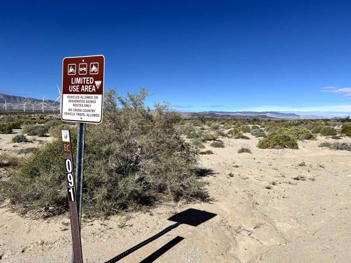 Trans-Ocotillo Connector photo 6