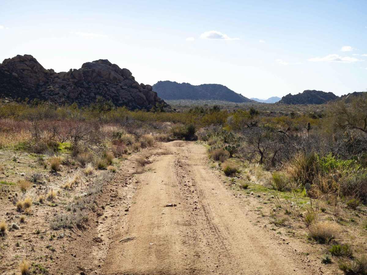 Date Creek Foothill photo 2