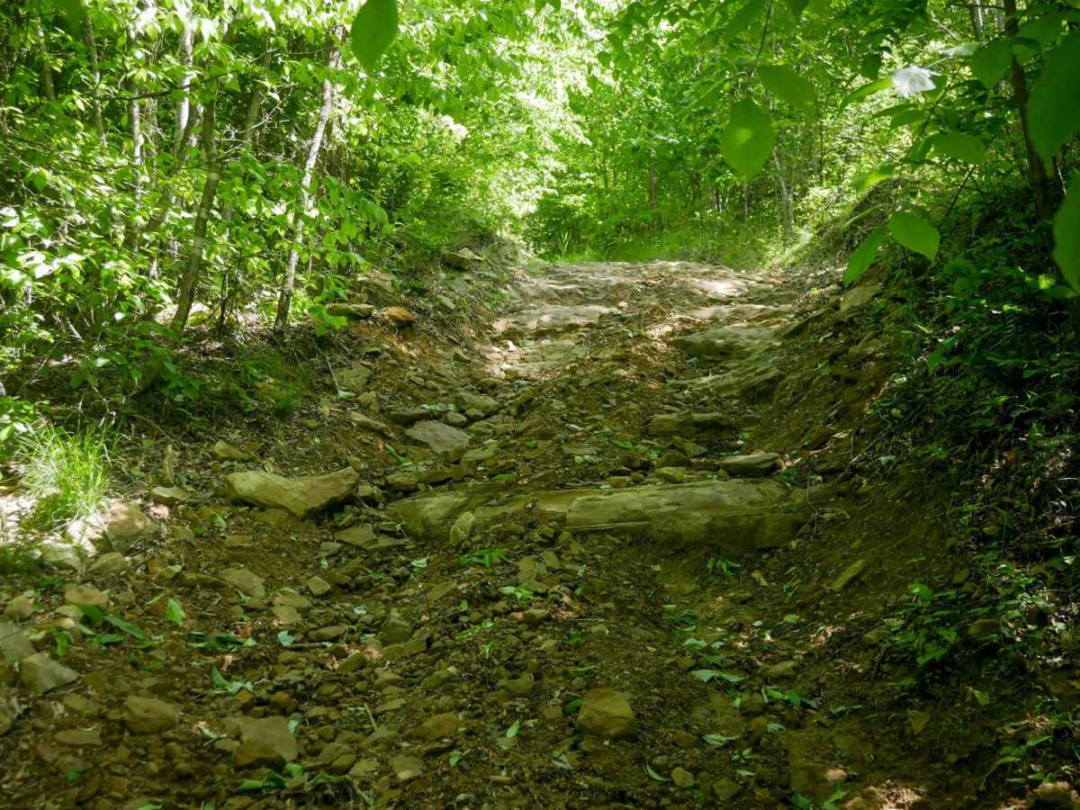 RV35 trail photo