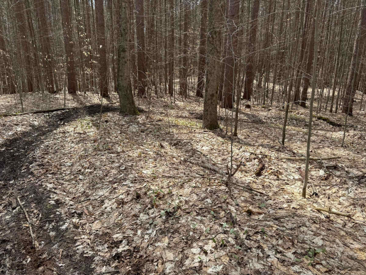 MCCCT - Caberfae Spur to West 38 photo 4