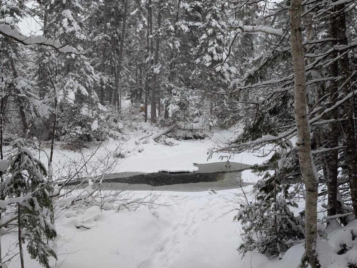 River Crossing Spur photo 2
