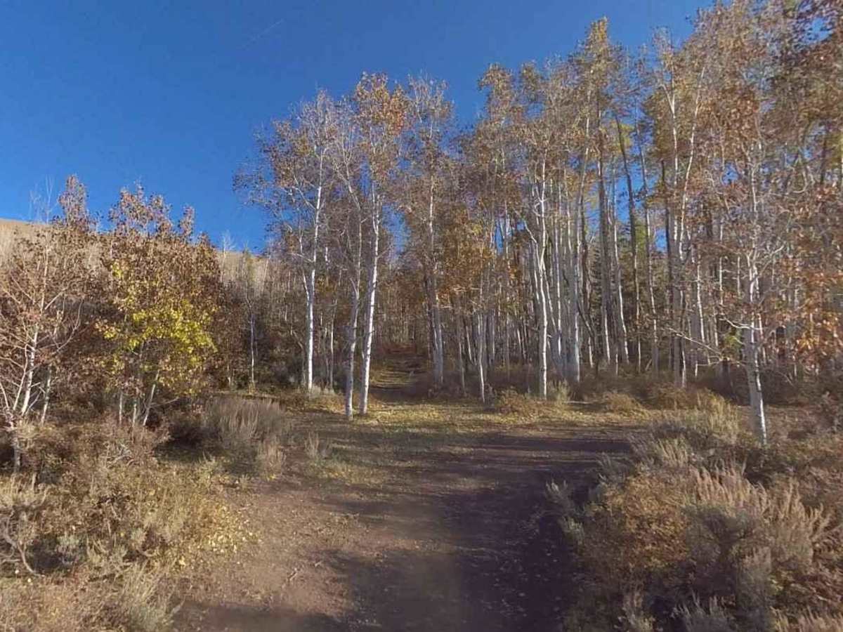 Forshea Mountain South photo 6