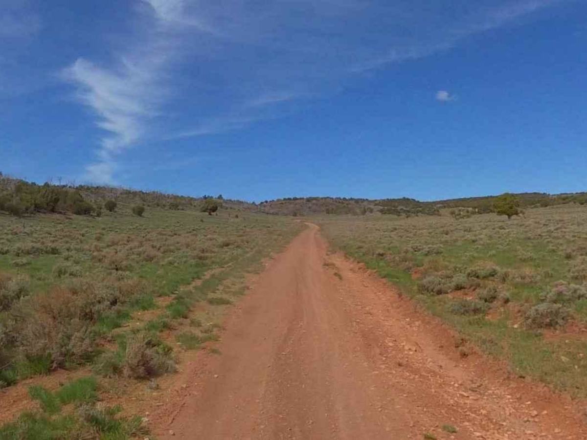 Watts Mountain Road- FS 40111 photo 4
