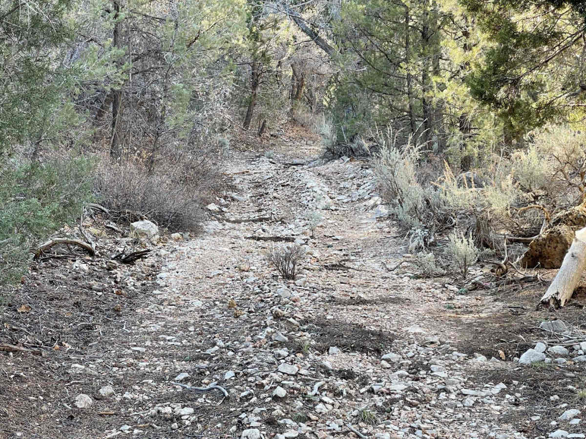 1071K Last Chance Lookout photo 3