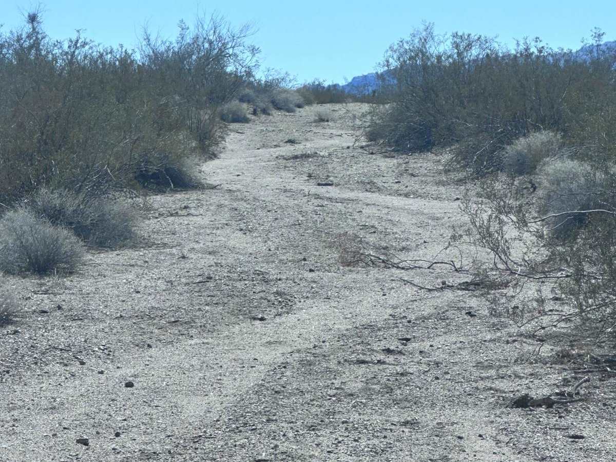 BLM Route 7947 photo 2