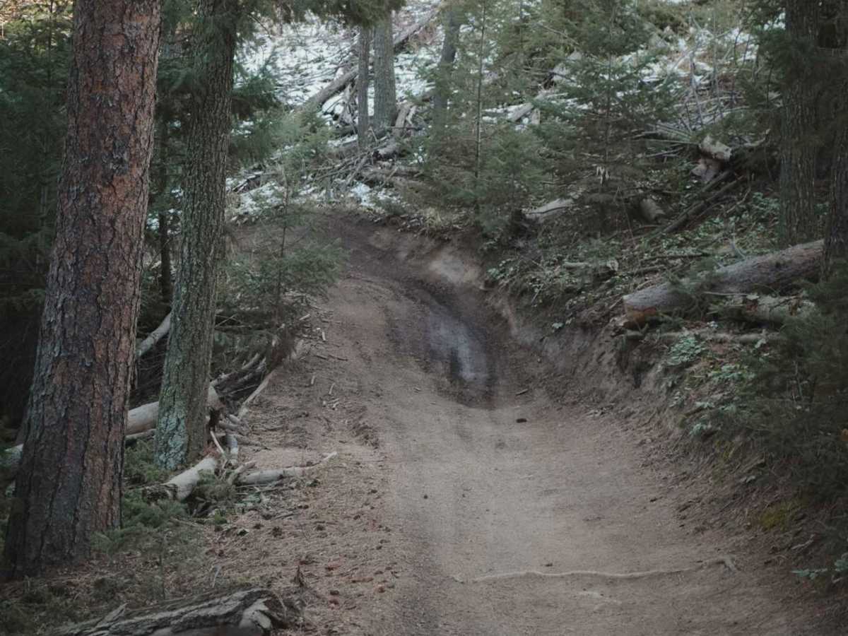 688 Beaver ATV Trail photo 5