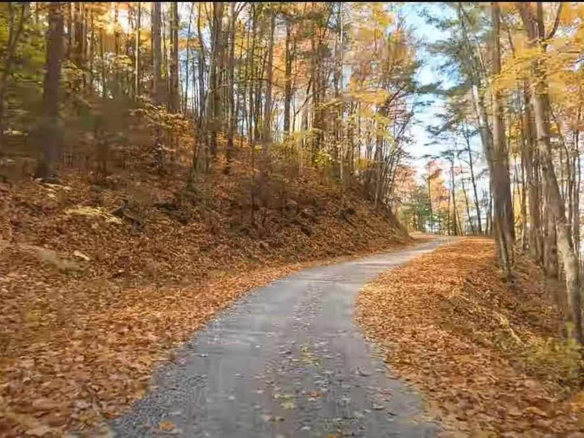 Max Patch Road photo 3