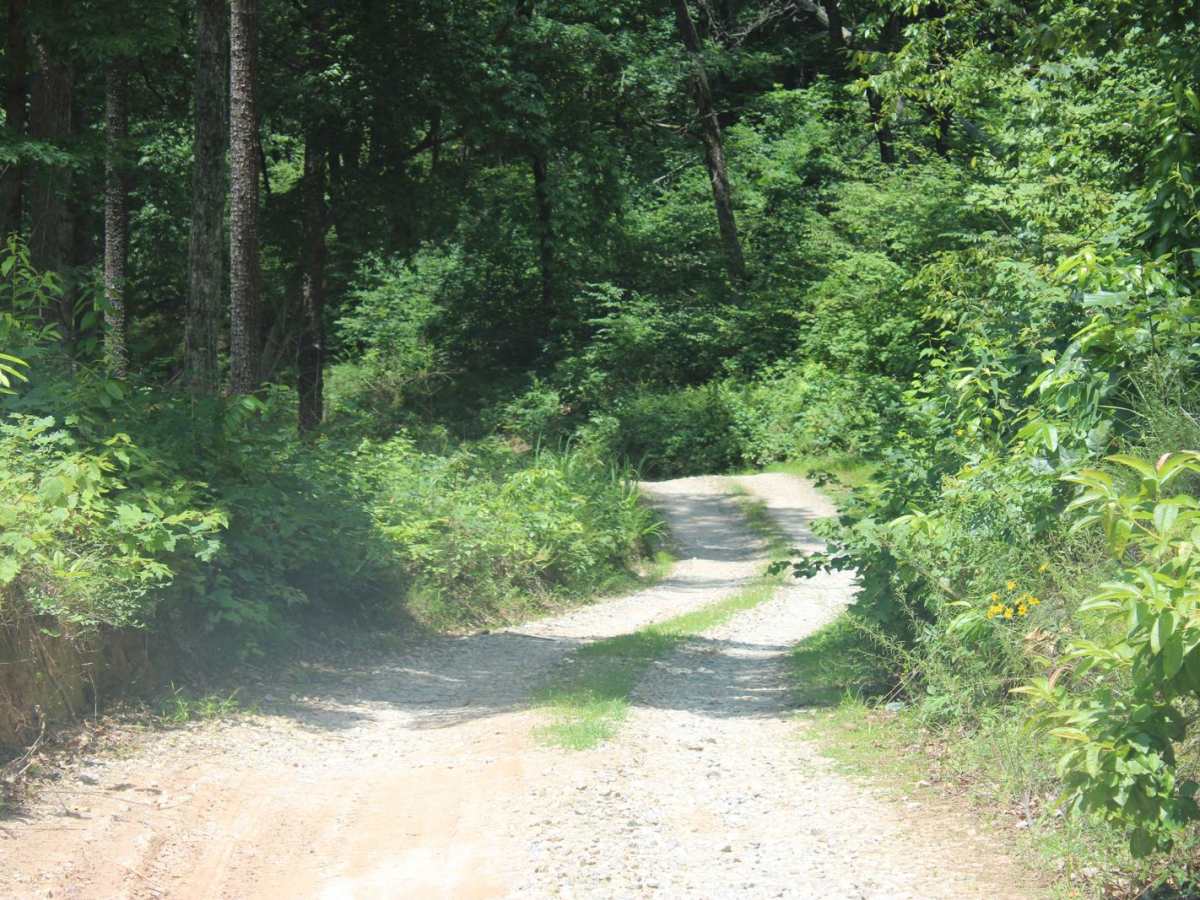 Georgia Mountain Orchard photo 3
