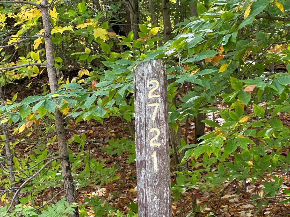FS 2721 trail photo