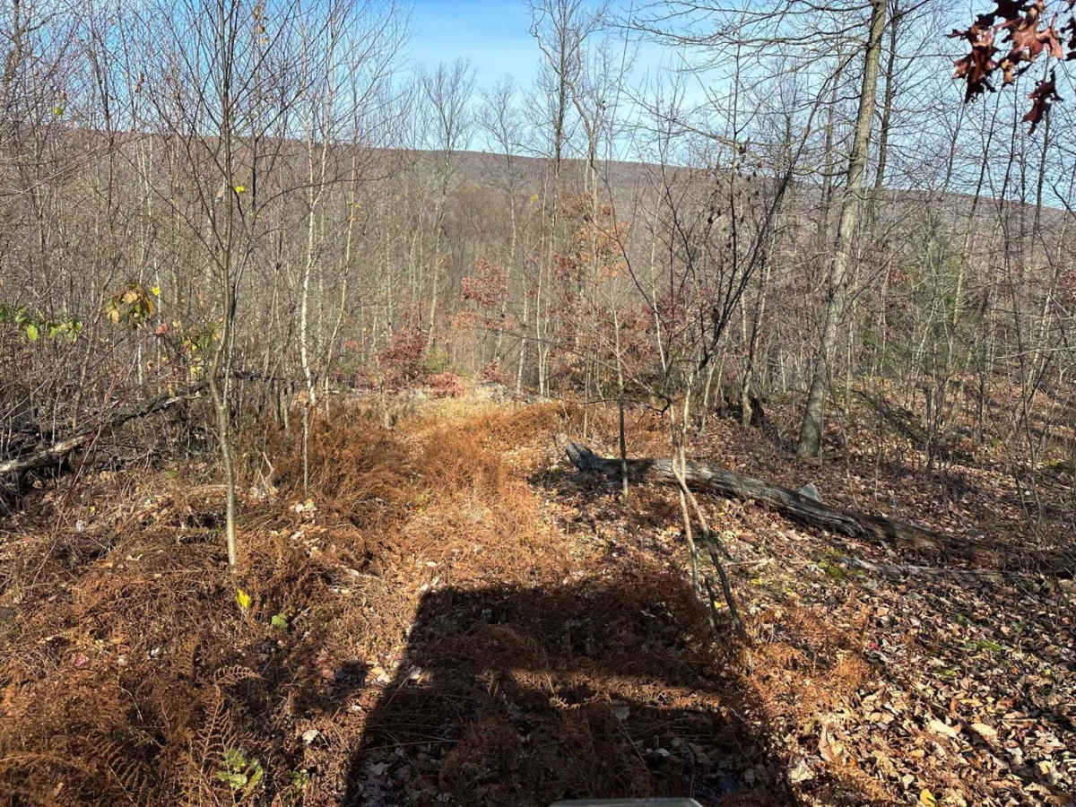 Ashland 156 photo 3