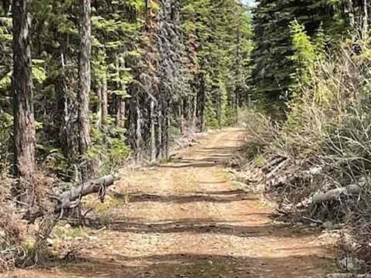 Divide Cutoff Road photo 5