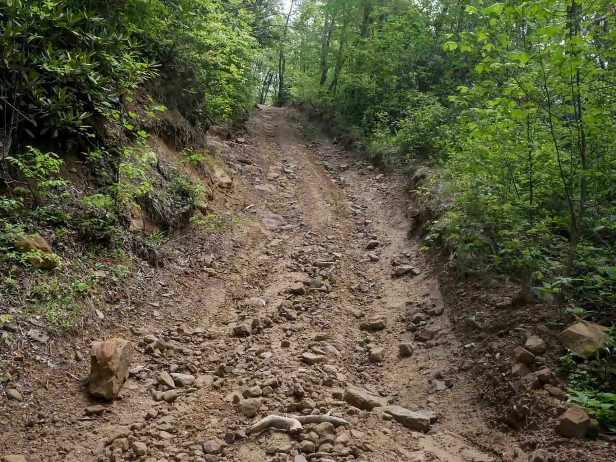 OP 25 (Part 1) trail photo