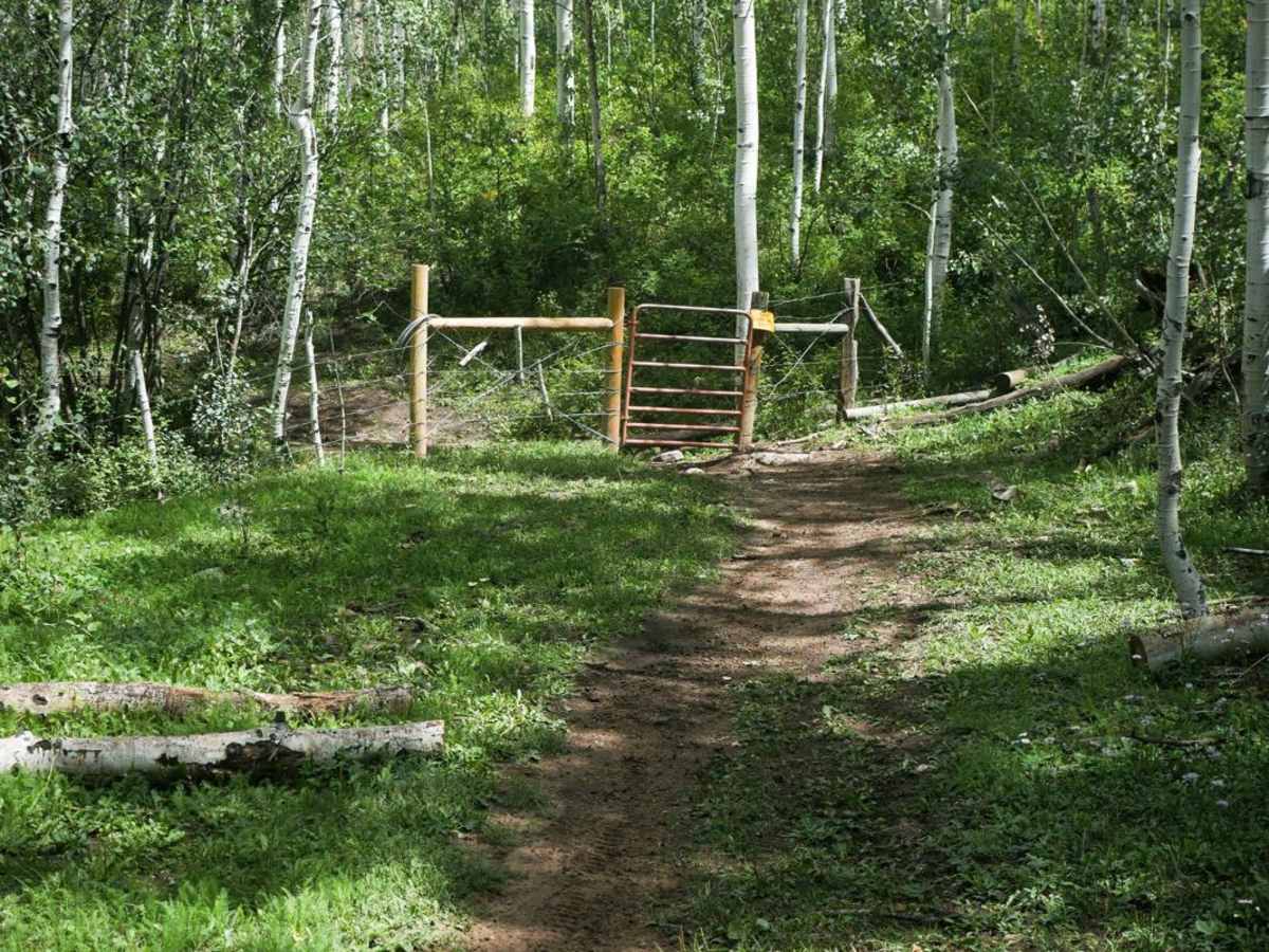 Rim Trail trail photo