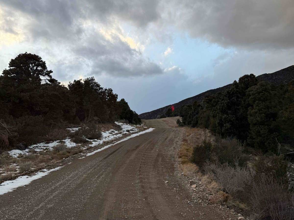 Patterson Pass photo 4