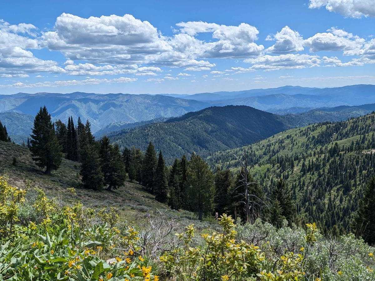 Forest Service Road 555BC - Scott Mtn. Lookout photo 4