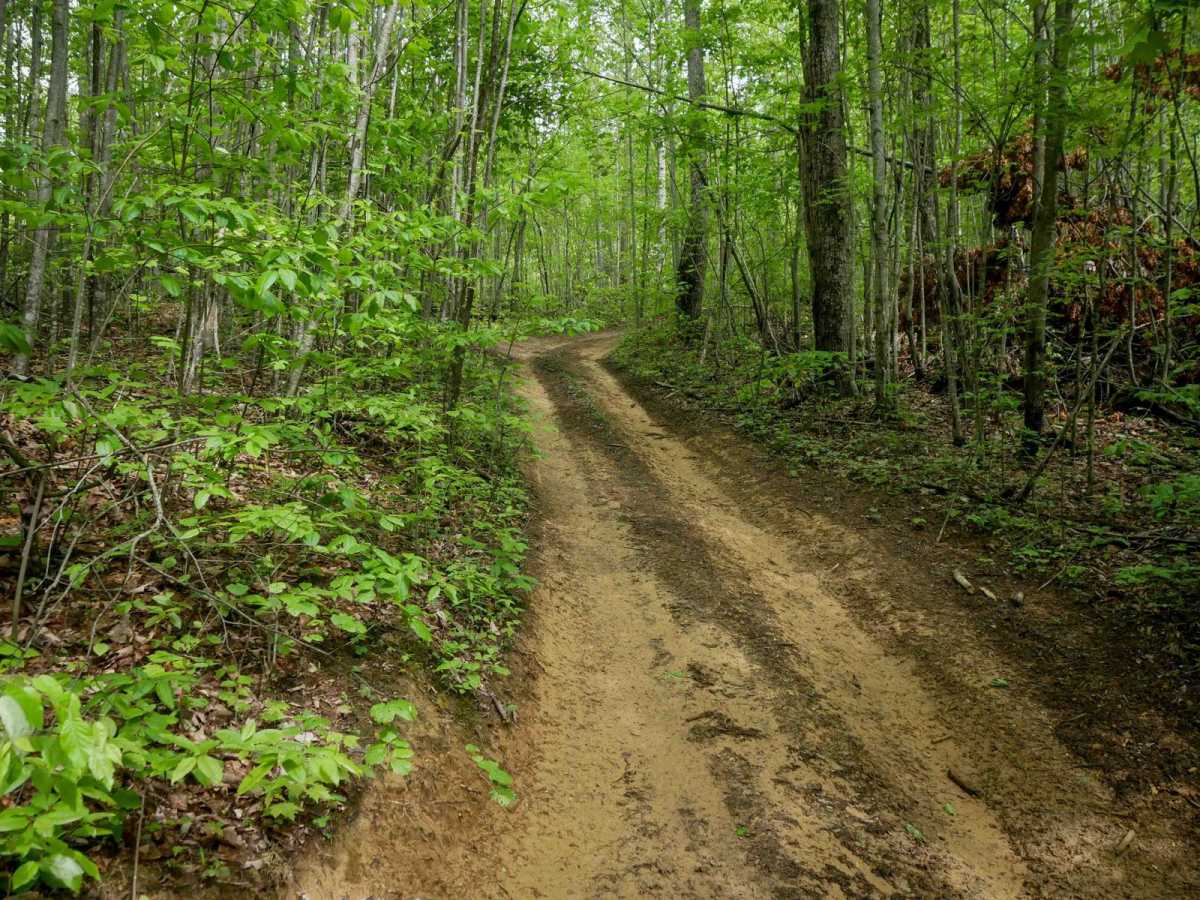 OP 40 trail photo