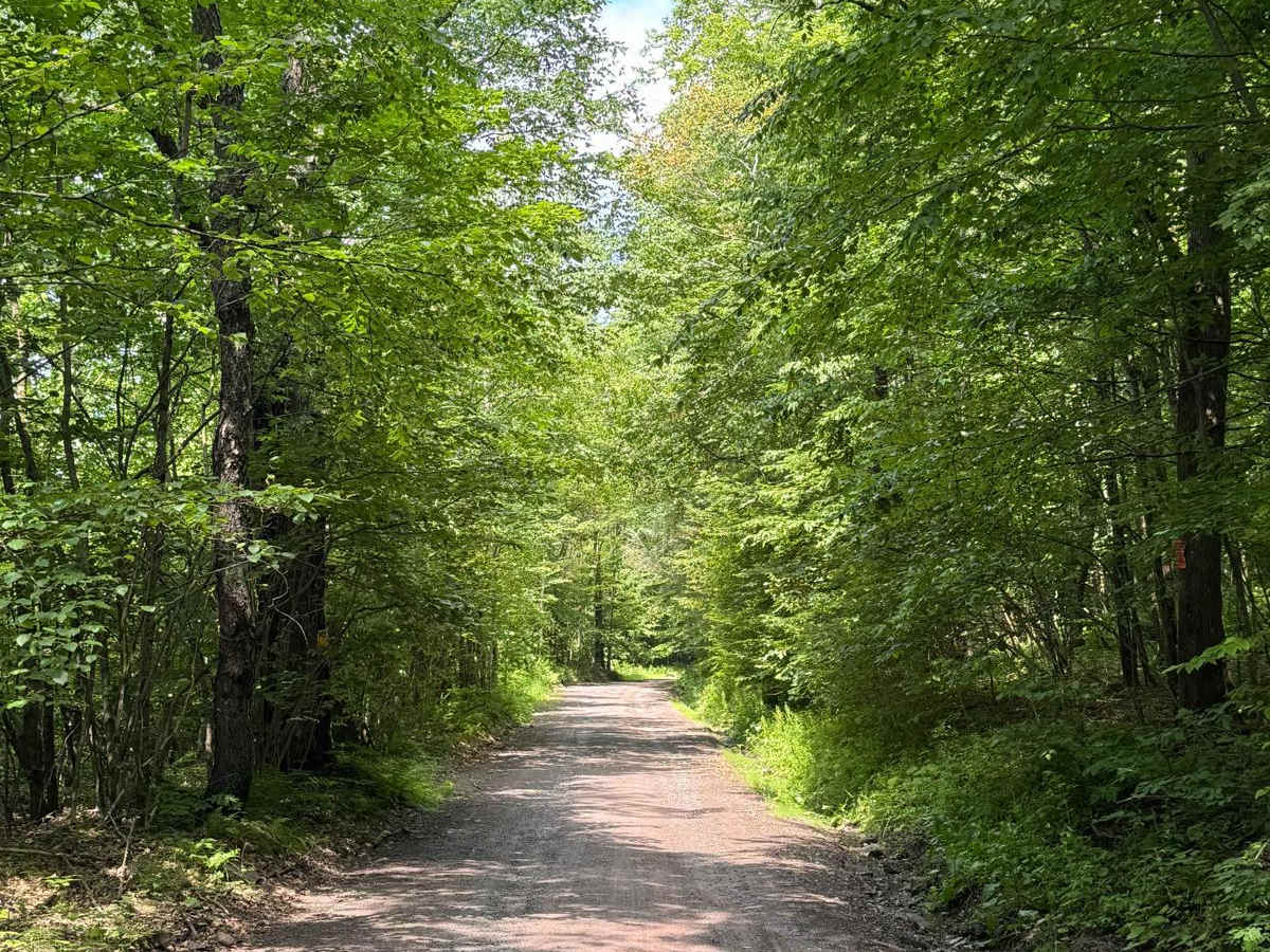 Old Union Road photo 4