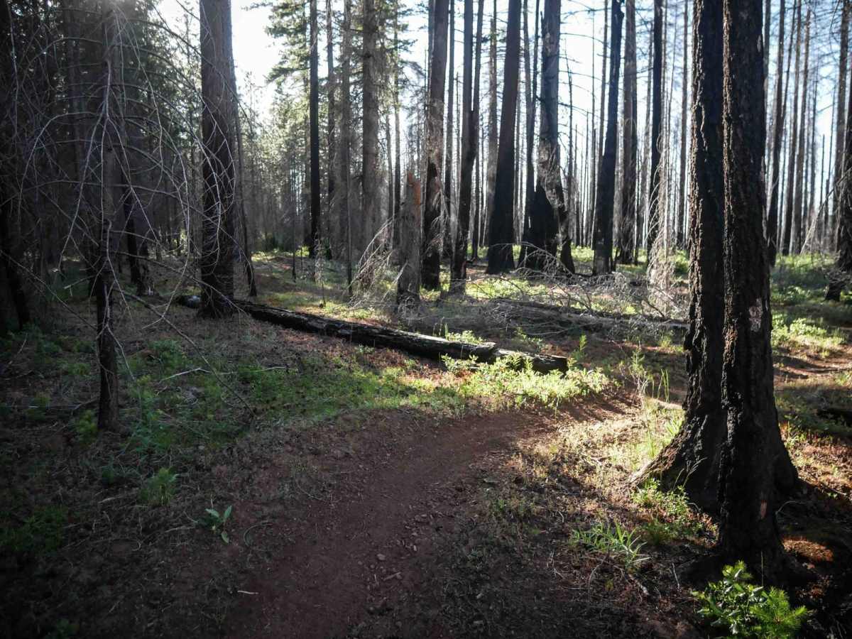 576 trail photo