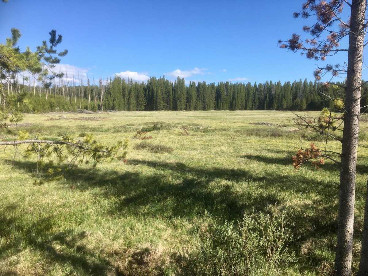 Sand Basin Road photo 6