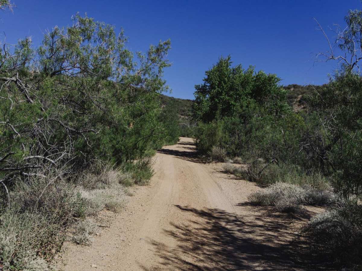 McNary Mine Road photo 6